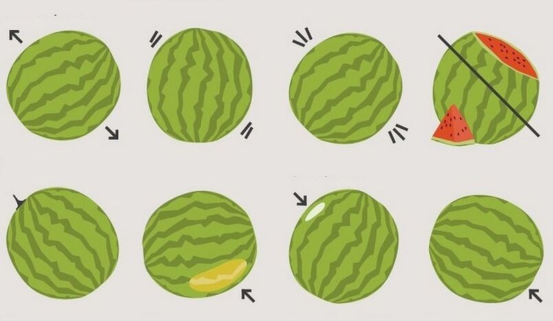 ako si vybrať melón